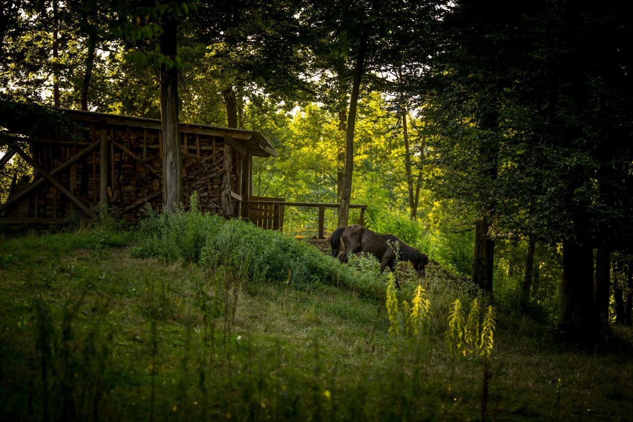 Forest Camping Mozirje Ngoại thất bức ảnh