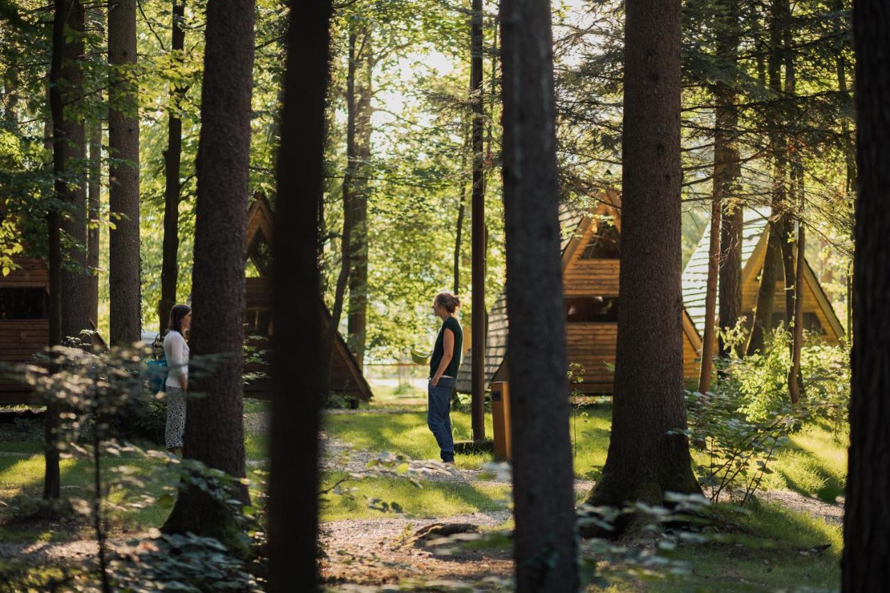 Forest Camping Mozirje Ngoại thất bức ảnh