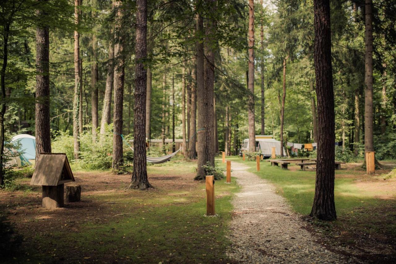 Forest Camping Mozirje Ngoại thất bức ảnh