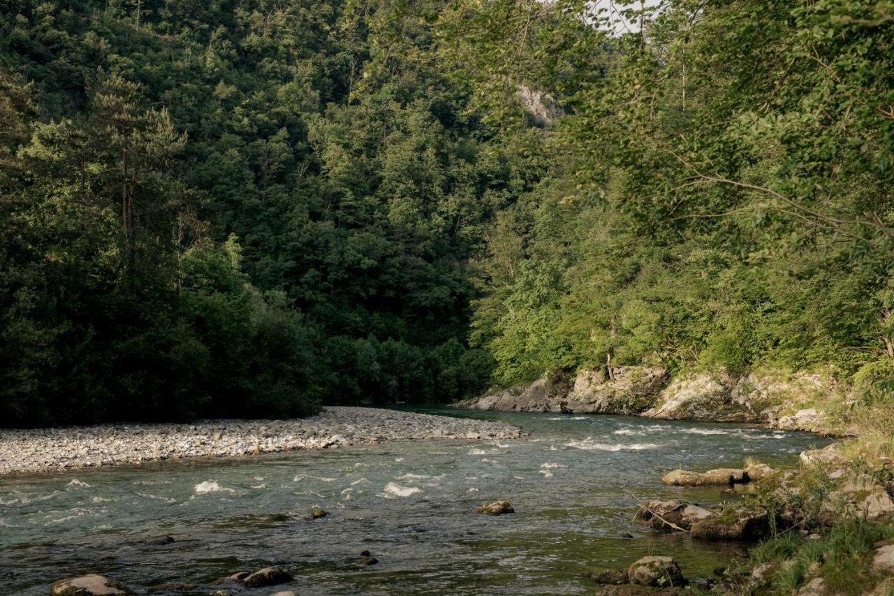 Forest Camping Mozirje Ngoại thất bức ảnh