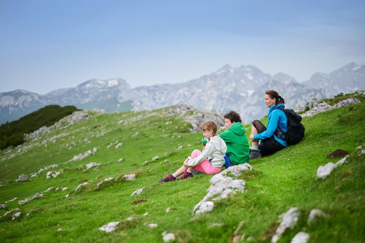 Forest Camping Mozirje Ngoại thất bức ảnh
